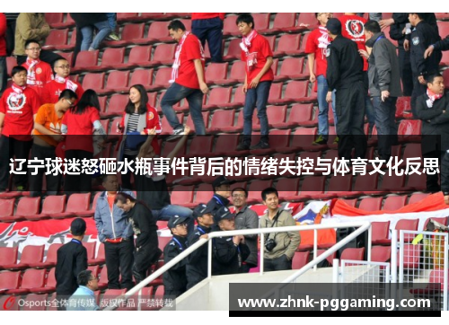 辽宁球迷怒砸水瓶事件背后的情绪失控与体育文化反思